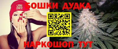 соль ск Кингисепп