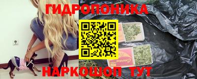 гидра Кинель